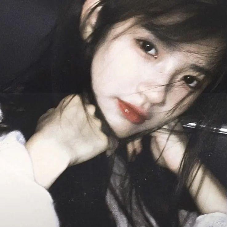 招惹玫瑰